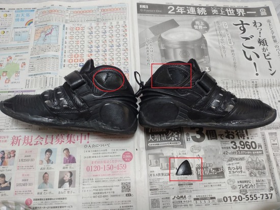 s_2025-10-11DSC_0374a