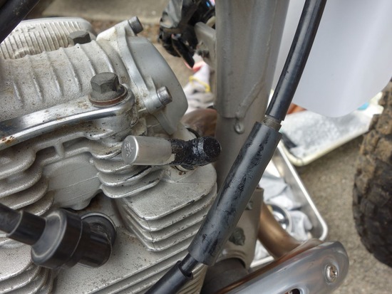 s_2025-06-12DSC02389