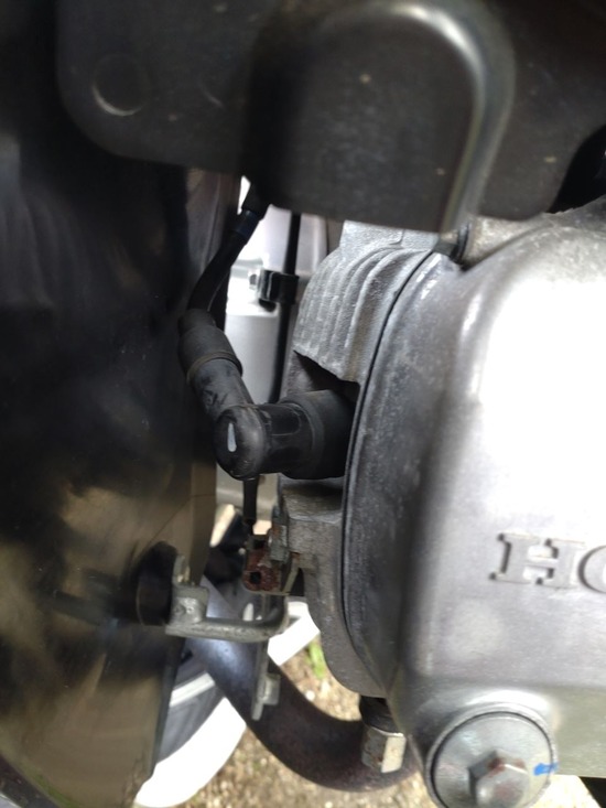 s_2025-05-12DSC_9319