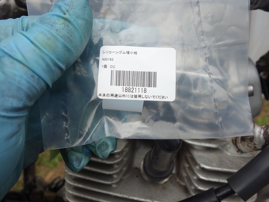 s_2025-06-07DSC02365