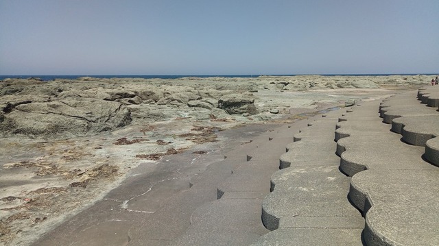 18sp-P_20190525_120529