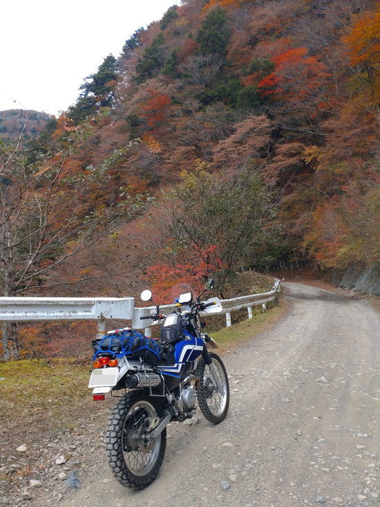 s2025-11-12DSC_0885a