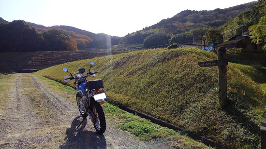 08-sp-P_20191213_115312a