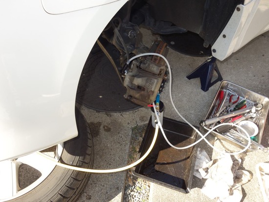 13s2024-01-17DSC00948