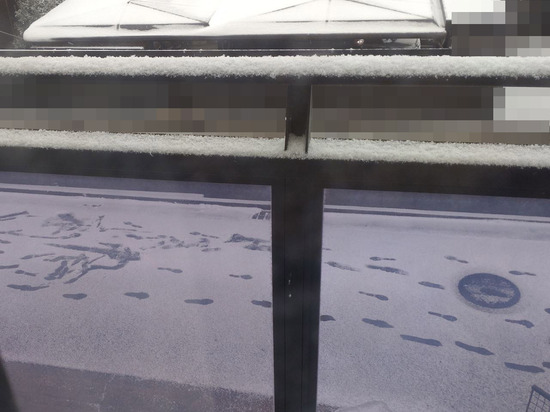 s2026-02-08DSC_1786a