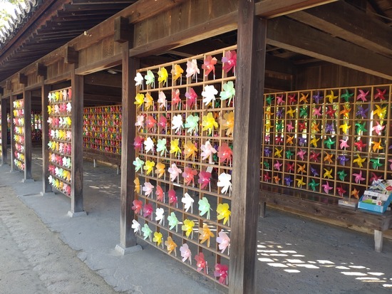 s_2025-10-17DSC_0439