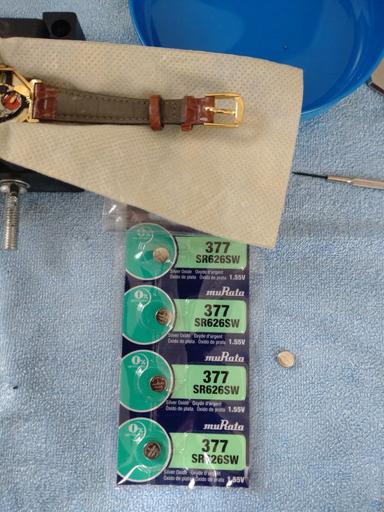 05-s_2025-03-16DSC_8443