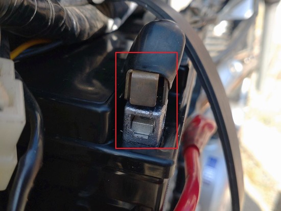 s2025-11-08DSC_0798a