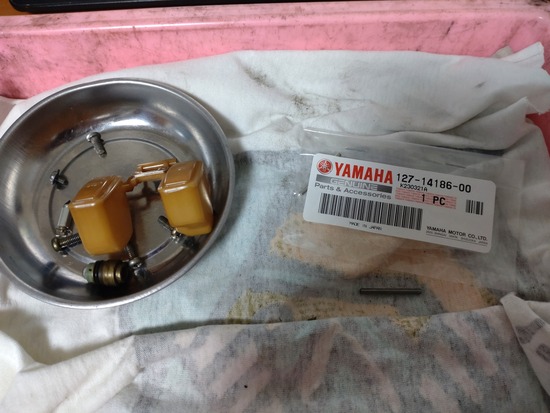 14-s2024-12-04DSC_7504