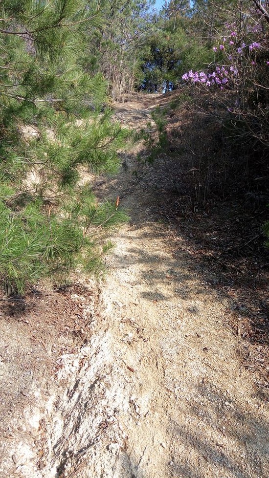 ｓ20210326P_20210326_153531