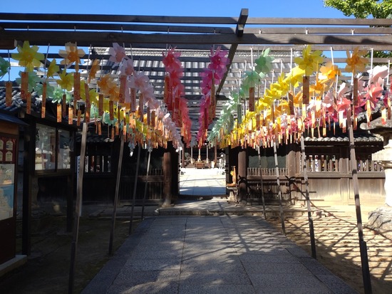 s_2025-10-17DSC_0437