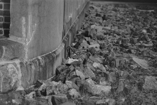 s_2011-02-25PICT0034a