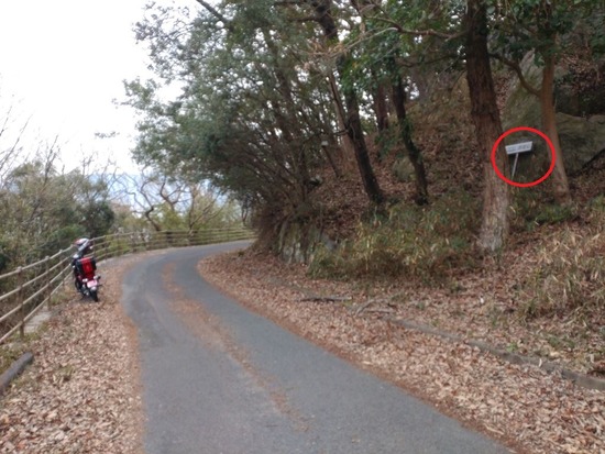 20s2023-03-09DSC_1116a