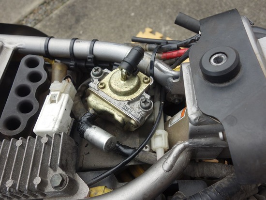 s_2025-06-12DSC02390