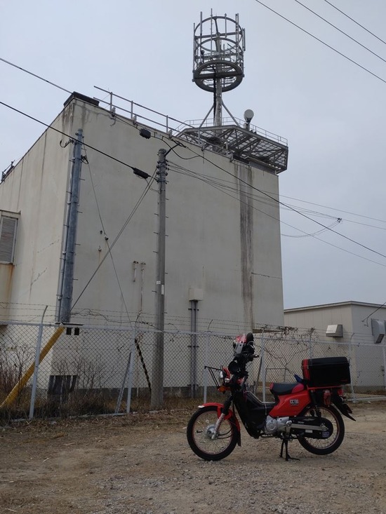 30s2023-03-09DSC_1137