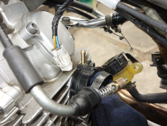 02-s_2025-06-02DSC02285