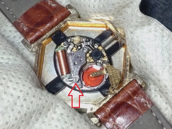 12-s_2025-03-16DSC_8470Z1