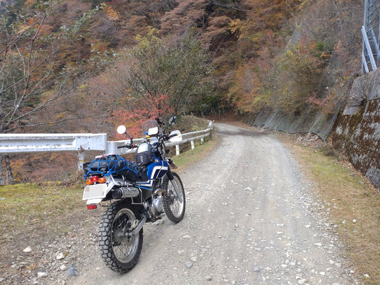 s2025-11-12DSC_0886a