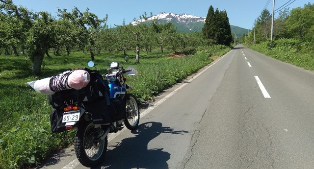 20190525-01sp-P_20190525_084337 (2)