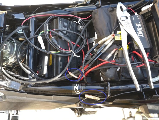 s2025-11-28DSC_1080z