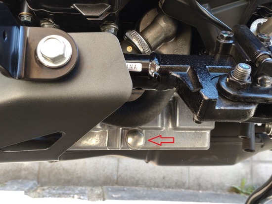 s2023-11-22DSC_3202a