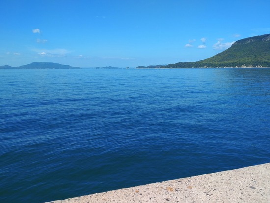 s_2025-10-06DSC_0311