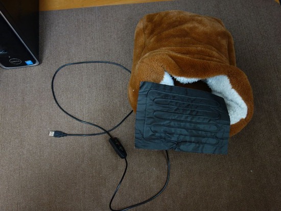 10s2022-01-16DSC08531