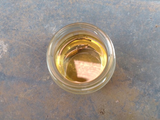 s_2025-06-20DSC_9813