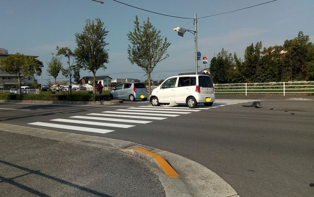 sp-P_20190818_081055a