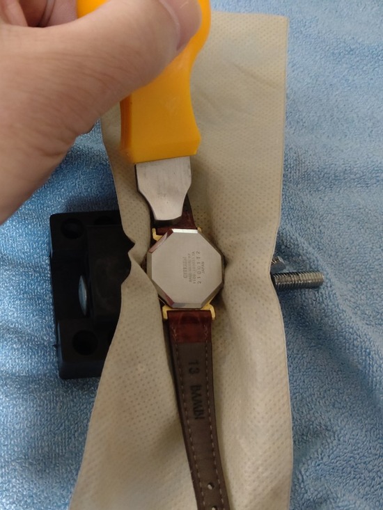 01-s_2025-03-16DSC_8438