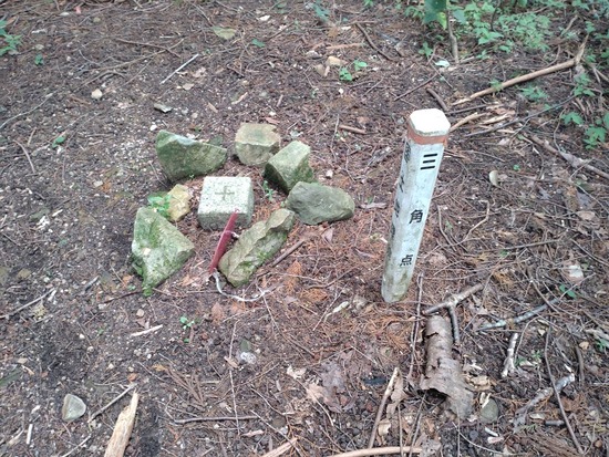 s_2025-06-18DSC_9797