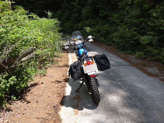 s_2025-06-27DSC_9847