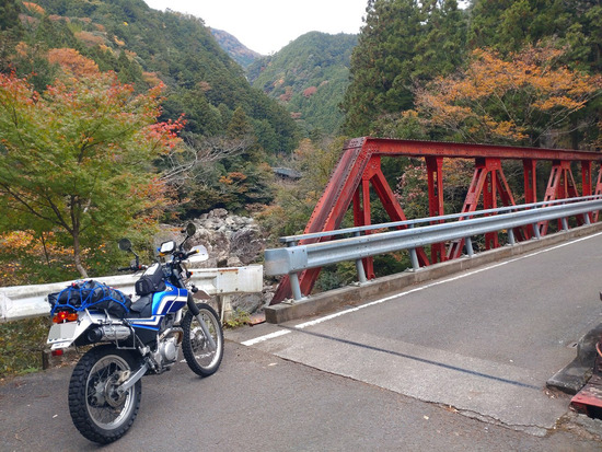 s2025-11-12DSC_0856a