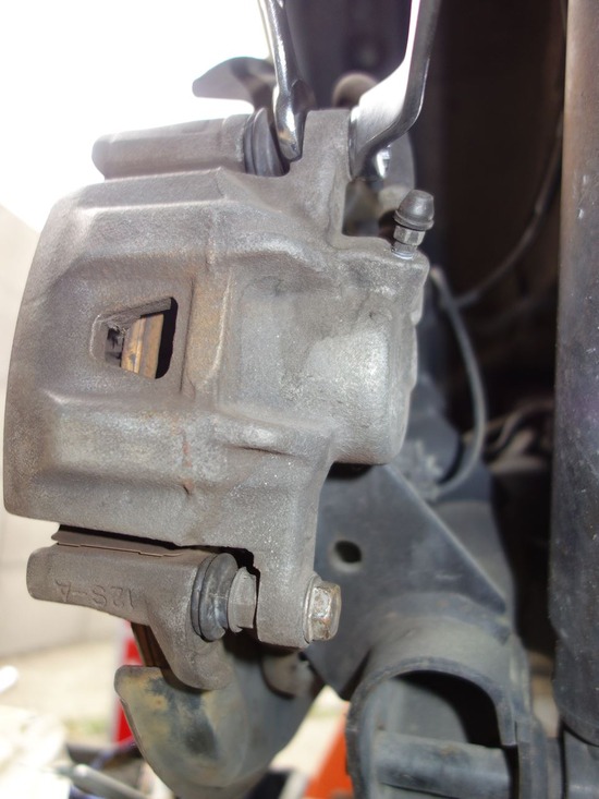 03-s2026-01-08DSC09169