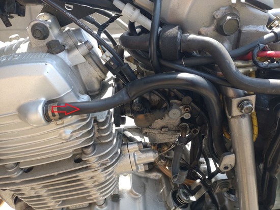 10-s_2025-05-23DSC_9601a