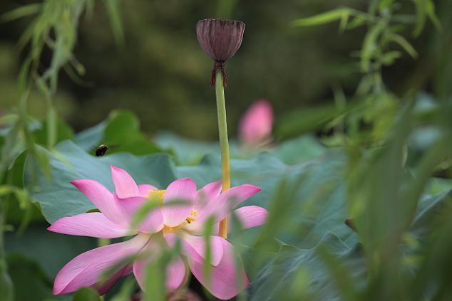 c4d65348.jpg