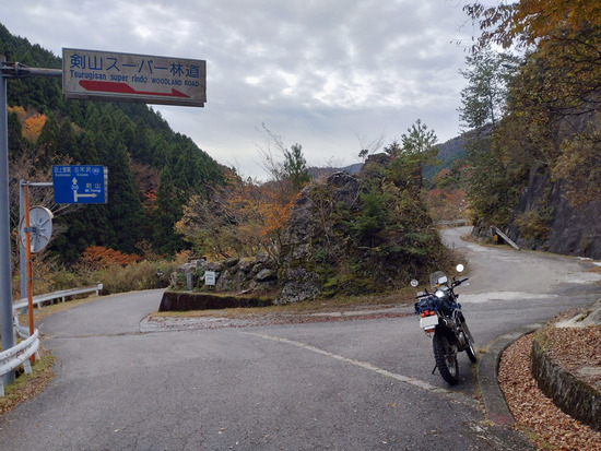 s2025-11-12DSC_0881a