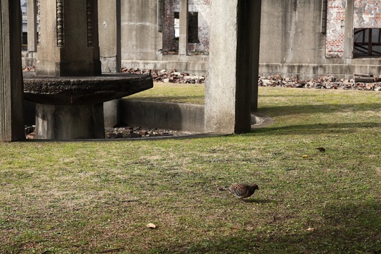 s_2011-02-19IMG_2550