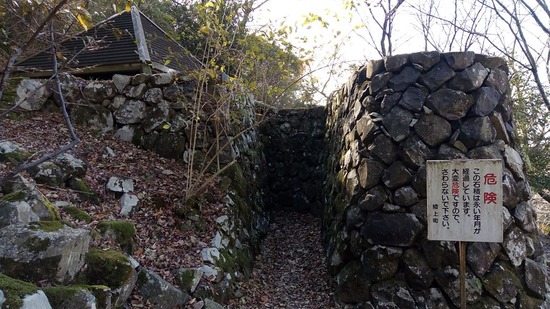 21-sp-P_20191213_130427