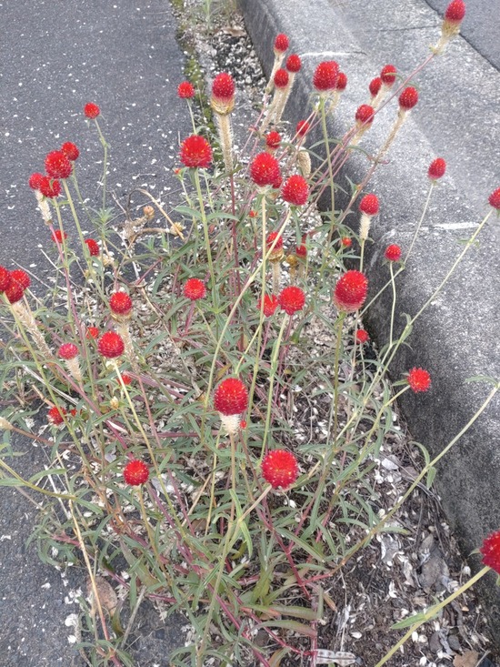 s_2025-10-20DSC_0492