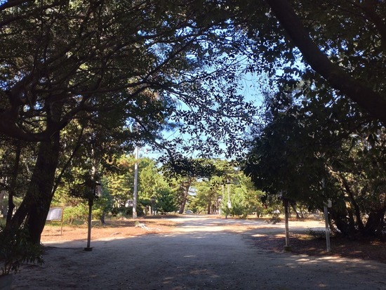 s_2025-10-17DSC_0446