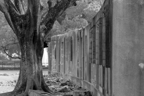 s_2011-02-25PICT0008a