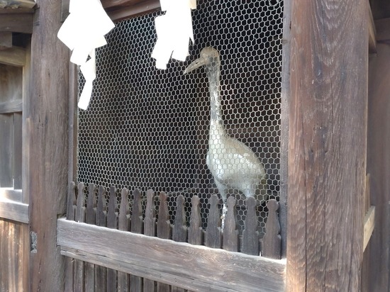 s_2025-10-17DSC_0472