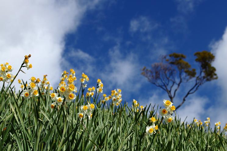 d16334fd.jpg