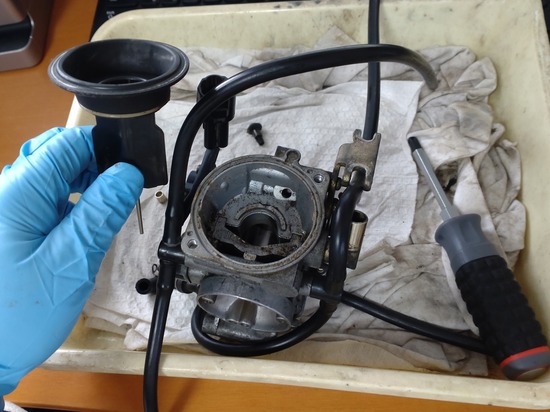 03-s2024-12-04DSC_7487