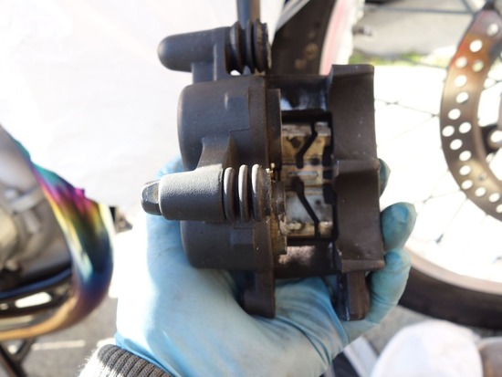 09-s2026-02-02DSC09327