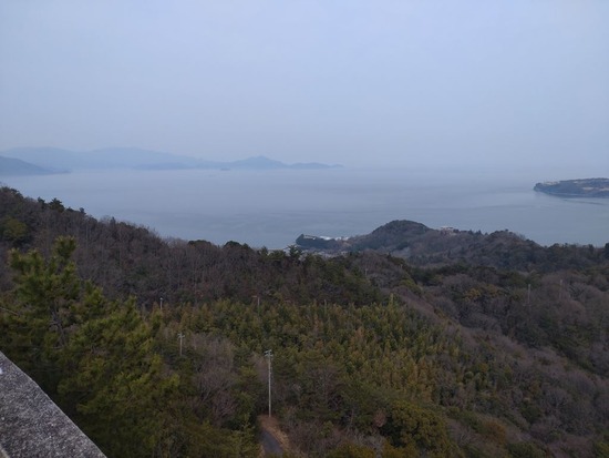 39s2023-03-09DSC_1148