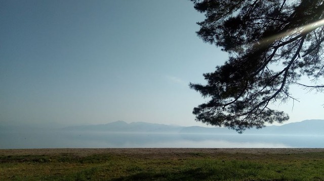 20190511-01sp-P_20190511_064007