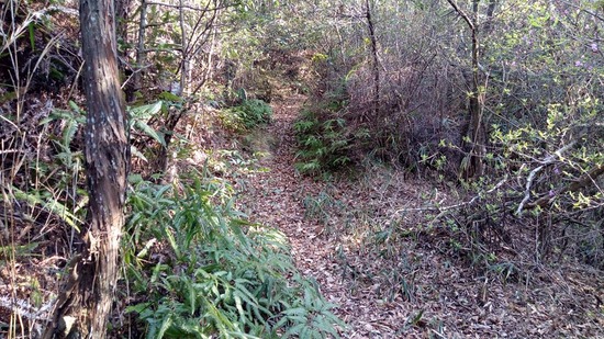 ｓ20210326P_20210326_153101