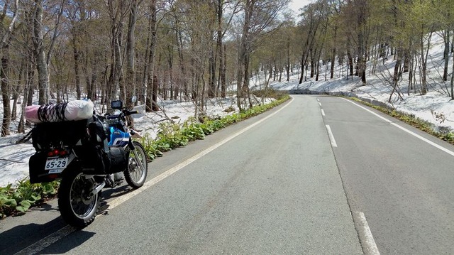 20190517-10sp-P_20190517_100932